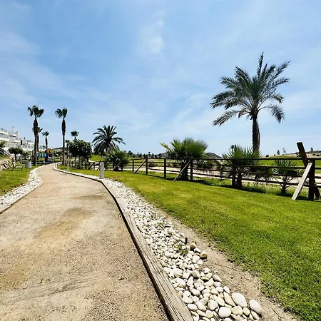 Mi Sueno * San Juan De Los Terreros